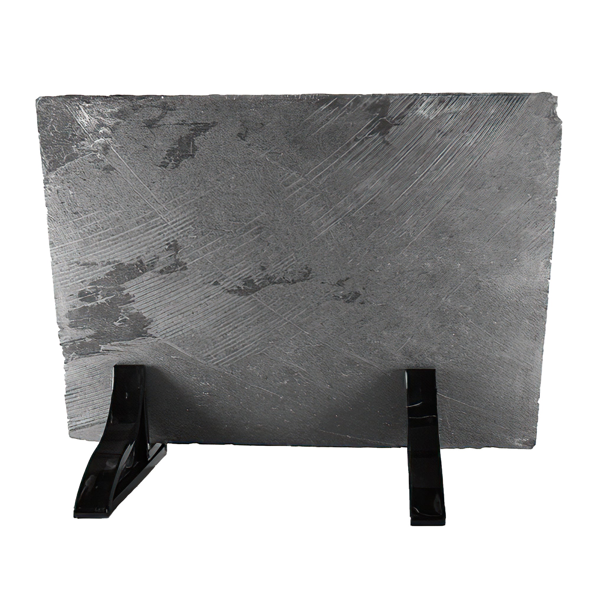 Labrador God Once Said Stone - Nb2107213ki